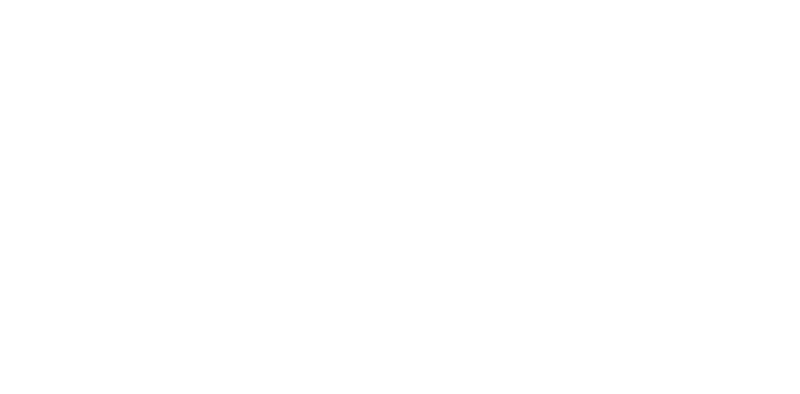 Play Pause Record